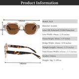 Retro Italian Design Acetate Sunglasses 3115